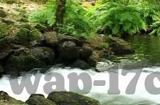 91麻豆国-当创意邂逅艺术，探索91麻豆国的多彩世界