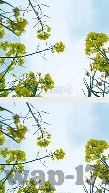 91麻豆精东天美果冻-麻豆精东天美果冻，赏味与艺术的完美邂逅