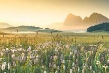 91人妻呻吟久久-探索人性的隐秘角落，91人妻呻吟背后的社会与心理剖析