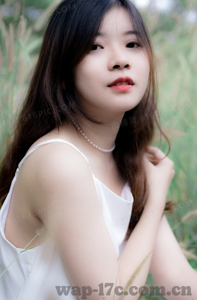 大象传媒影视在线播放-探索大象传媒影视的在线播放，重塑观影体验的革新力量