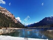 dx大象传媒地址是什么-探寻DX大象传媒的数字足迹