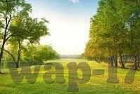 麻豆丝袜av熟女一区二区-慎思社会风气，网络内容与健康价值观的引导