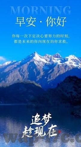 麻豆污app-麻豆污app的背后真相及影响