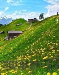 麻豆自制剧情国产app-探寻国产APP的创意新风，麻豆自制剧情的崛起之路