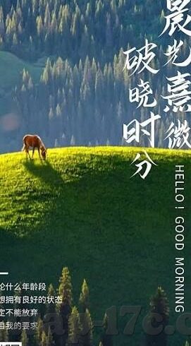 糖心app视频下载安装-完善网络行为，深入了解糖心app的使用与安全问题
